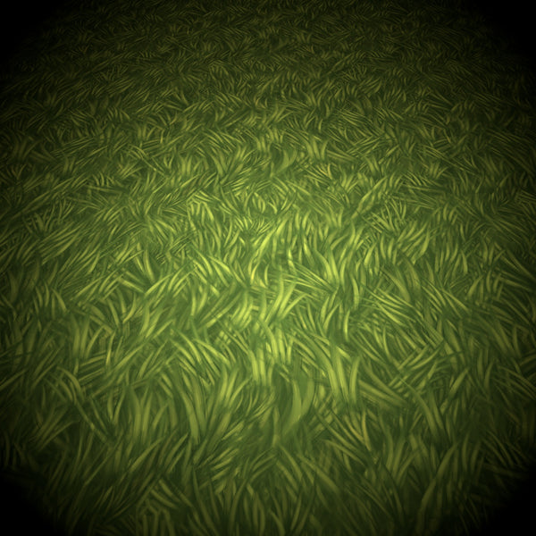 Hand Painted Grass Texture - LowlyPoly